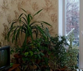 3-комн, 76кв м, этаж 4/4 Транспортная улица, 12