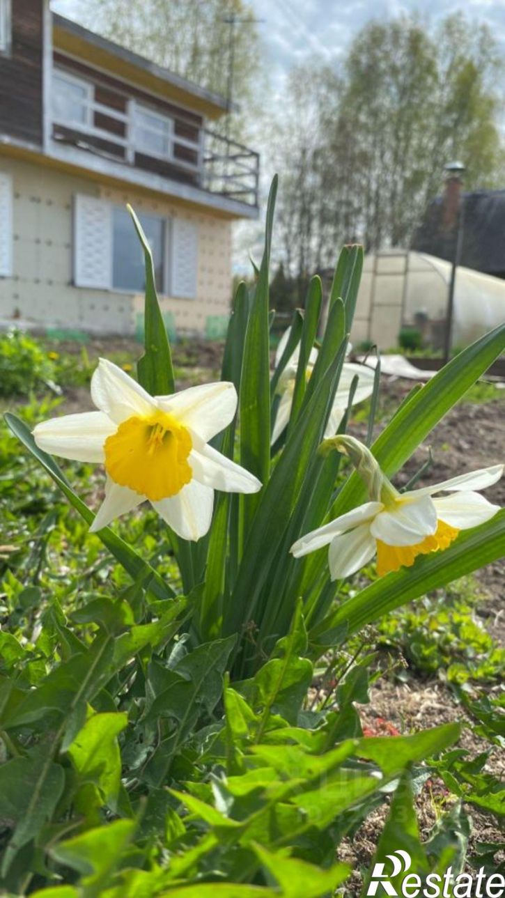 Коттедж/дом городской округ Северск