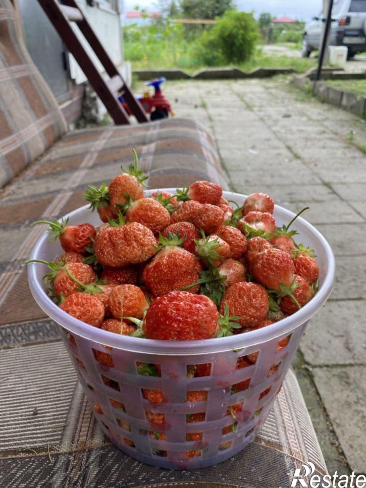 Коттедж/дом городской округ Северск